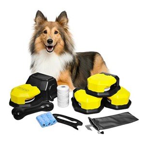 Interactive Dog Toys for Agility Training Games