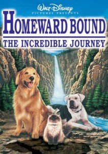 Homeward Bound: An Incredible Dog Adventure