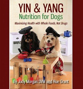 Yin & Yang Nutrition for Dogs: Whole Food Wellness