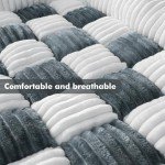 Topchances Pet Couch Cover for Dogs and Cats