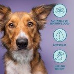 Burns Hypoallergenic Dog Food for Weight Control 2kg