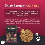 HiLife Banquet Wet Dog Food - Chicken & Rice