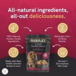 HiLife Banquet Wet Dog Food - Chicken & Rice