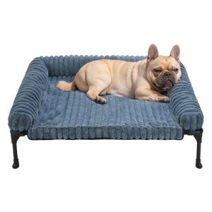 Veehoo Elevated Dog Bed with Removable Bolster