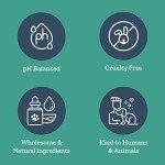 Wormwood Tonic for Dogs - Natural Worming Solution