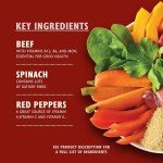 Lily's Kitchen Beef Goulash Wet Dog Food Pack