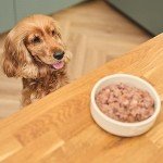 Lily's Kitchen Beef Goulash Wet Dog Food Pack