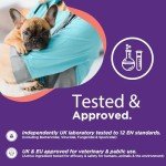 RenaSan Pet First Aid Spray – Wound Care 100ml