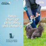 Coachie Puppy Mini Tug Toy for Play & Training