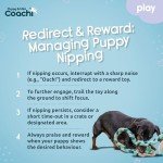 Coachie Puppy Mini Tug Toy for Play & Training