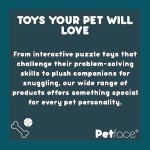 Petface Roast Chicken Plush Dog Toy