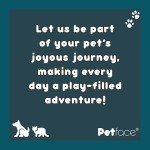 Petface Roast Chicken Plush Dog Toy