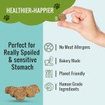 Hypoallergenic Plant-Based Dog Treats 100g