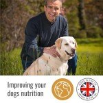 Hypoallergenic Plant-Based Dog Treats 100g