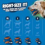 ChuckIt! Ultra Squeaker Ball for Dogs – Medium