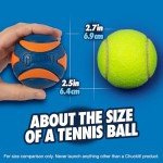 ChuckIt! Ultra Squeaker Ball for Dogs – Medium