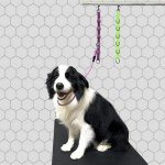 2PCS Dog Grooming Loops and Bathing Leash