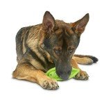 Soft Chew Large Pea Pod Dog Toy