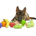 Soft Chew Large Pea Pod Dog Toy
