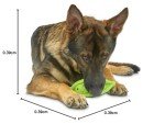 Soft Chew Large Pea Pod Dog Toy