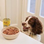 Lily's Kitchen Classic Adult Wet Dog Food Variety Pack