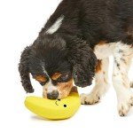 Soft Chew Latex Banana Dog Toy, Small