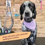 Padded Dog Grooming Haunch Strap - Adjustable Grey