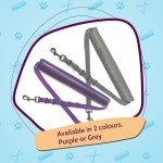 Padded Dog Grooming Haunch Strap - Adjustable Grey