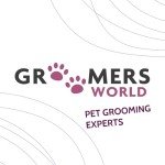 Padded Dog Grooming Haunch Strap - Adjustable Grey