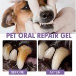 2-Pack Dog Dental Cleaning & Breath Freshener