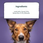 Burns Hearty Lamb & Rice Wet Dog Food 6 Pack