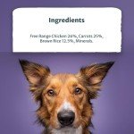 Burns Natural Adult & Senior Wet Dog Food