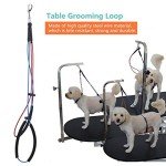 Adjustable Pet Grooming Table with Double Noose