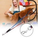 Adjustable Pet Grooming Table with Double Noose
