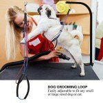 Adjustable Pet Grooming Table with Double Noose