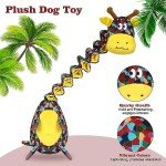 Interactive Squeaky Dog Toys for All Sizes