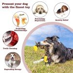 Interactive Squeaky Dog Toys for All Sizes