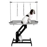 Hydraulic Height Adjustable Dog Grooming Table 106cm