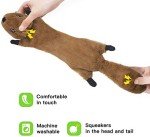 Indestructible No-Stuffing Squeaky Dog Toys - 6 Pack