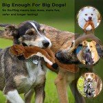 Indestructible No-Stuffing Squeaky Dog Toys - 6 Pack