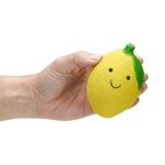 Petface Lemon Squeaky Dog Toy – Small