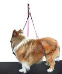 Adjustable Dog Grooming Arm with Leash Loop
