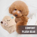 Pet Prime Snuggle Bear Plush Toy for Dogs