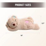 Pet Prime Snuggle Bear Plush Toy for Dogs