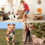 Wefine Natural Cotton Rope Chew Toys for Dogs