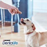 DENTALIFE Large Dog Dental Chews - 36 Sticks