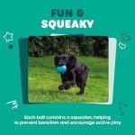 Webbox Squeaky Balls for Happy Dogs (4 Pack)