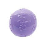 Webbox Squeaky Balls for Happy Dogs (4 Pack)