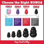 KONG Extreme Dog Toy - Tough Rubber for Large Dogs