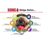 KONG Extreme Dog Toy - Tough Rubber for Large Dogs